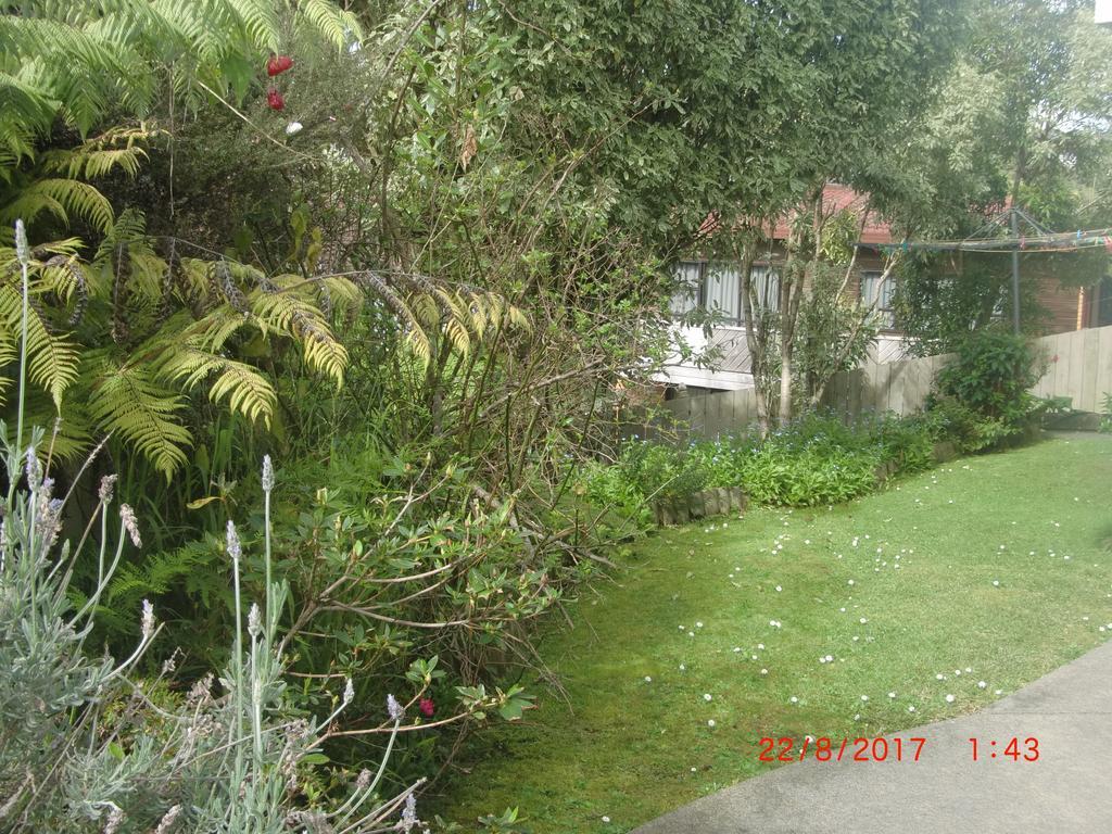 The Haven B & B Auckland Exterior photo